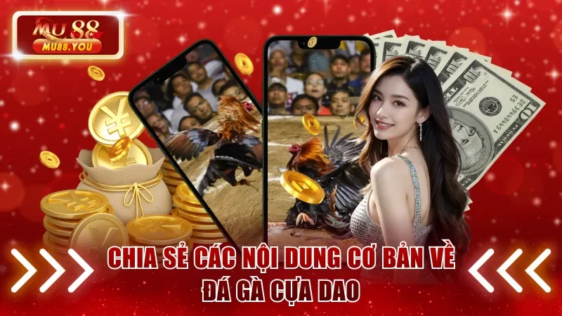 Chia sẻ các nội dung cơ bản về đá gà cựa dao