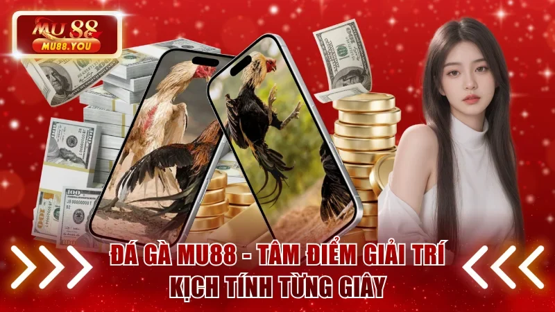 Đá Gà MU88 - Tâm Điểm Giải Trí, Kịch Tính Đến Từng Giây