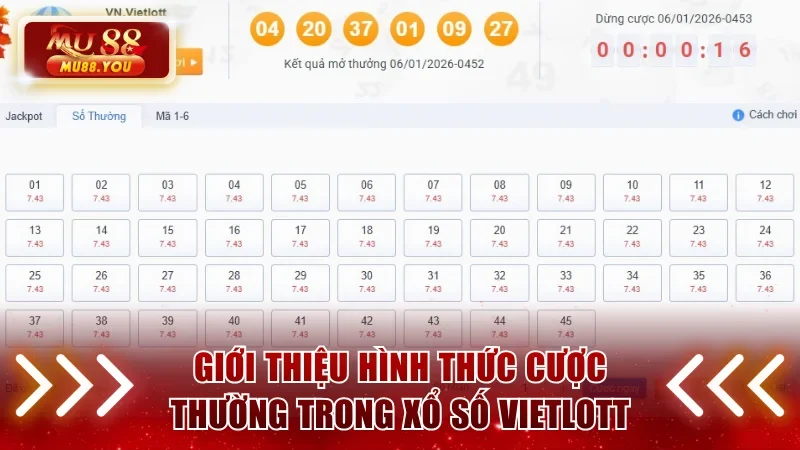 Hình thức cược bình thường trong xổ số Vietlott