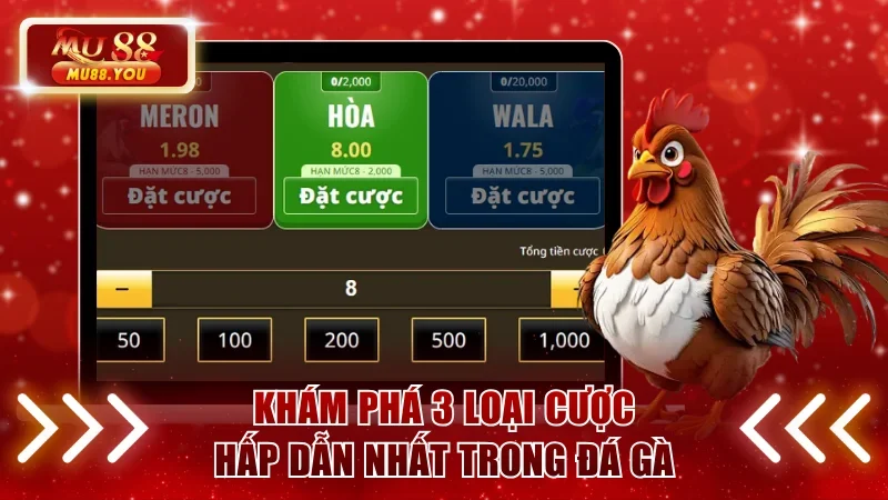 Khám phá 3 loại cược chính trong đá gà MU88