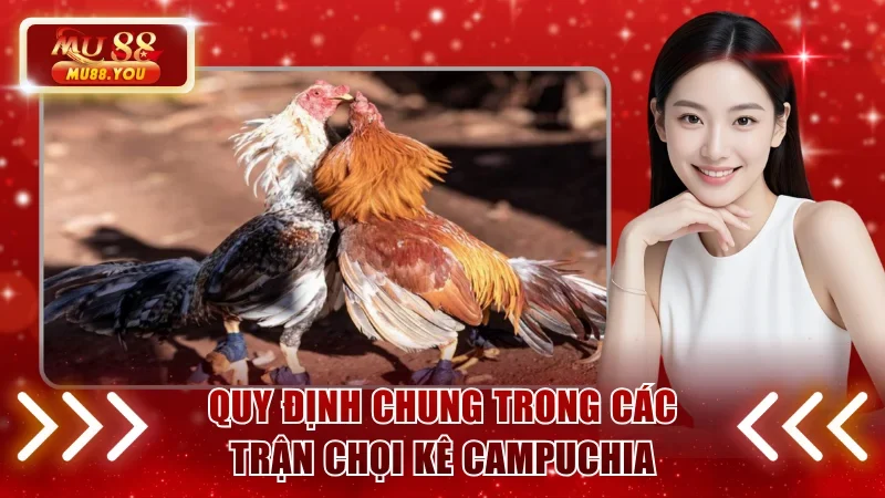 Quy định chung trong các trận chọi kê Campuchia