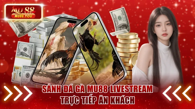 Sảnh đá gà MU88 livestream trực tiếp ăn khách