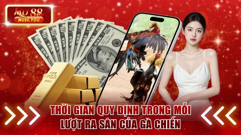 Thời gian quy định trong mỗi lượt ra sân của gà chiến