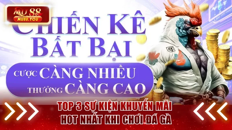 Top 3 sự kiện khuyến mãi đặc sắc cho các sư kê