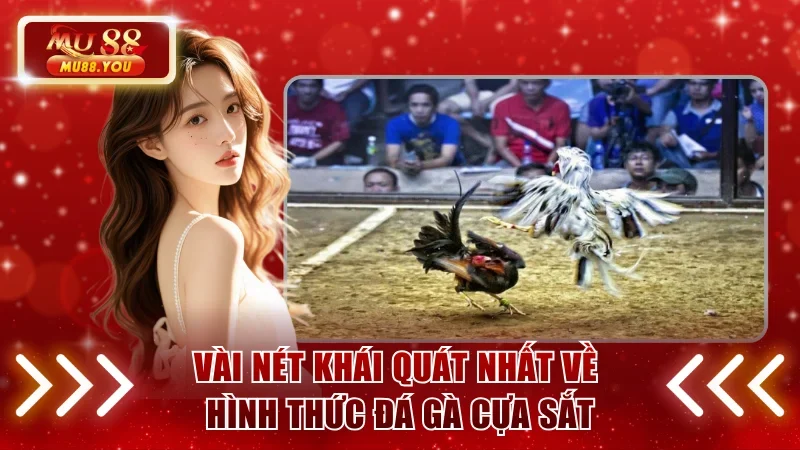 Vài nét khải quát nhất về hình thức đá gà cựa sắt